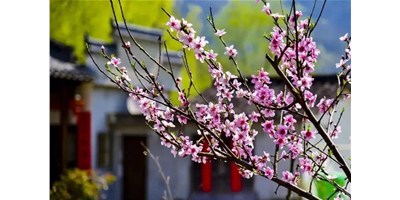 陽春三月，臺(tái)群精機(jī)一大波展會(huì)即將來襲，您準(zhǔn)備好了嗎？