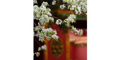 【展會資訊】臺群精機5月展會一覽，等您來參觀！